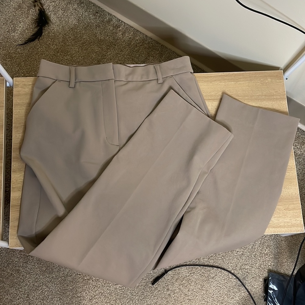 Express Tan Dress Pants